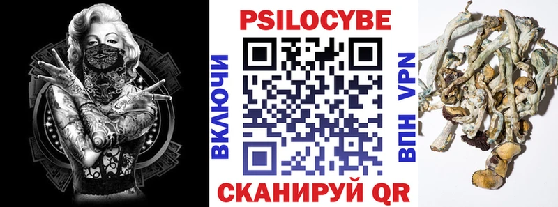 Купить закладки Долинск Галлюциногенные грибы мухоморы